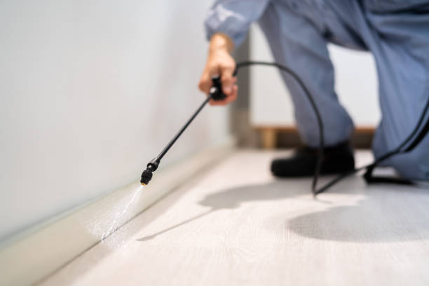 Licensed Cockroach Control service in Post, TX - Nex Pest Control