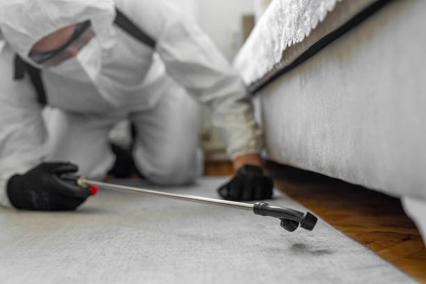 Professional Cockroach Control technician working in Post, TX