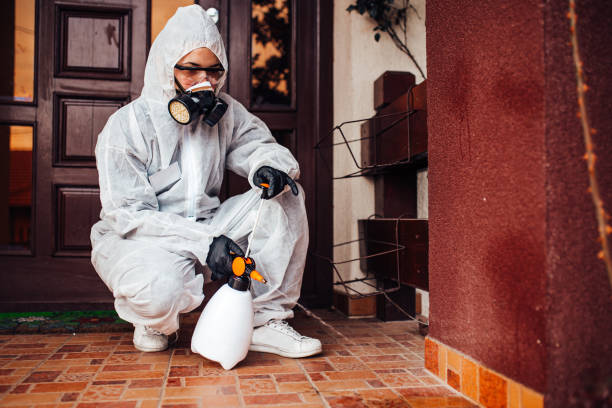 Reliable Cockroach Control contractor in Post, TX by Nex Pest Control